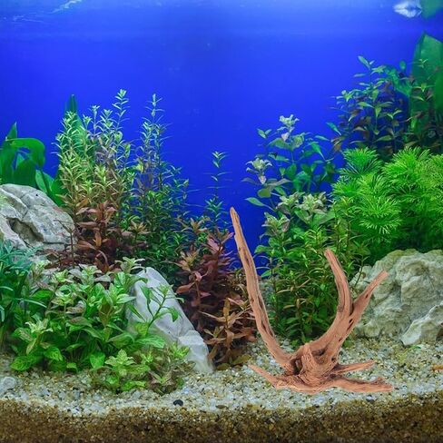 VICASKY 3pcs Natural Spider Wood Driftwood and Reptile Enclosures in Saudi Arabia