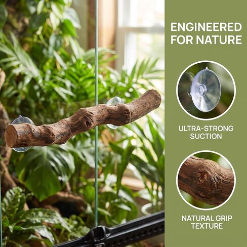 2pcs Reptile Branch Decor Suction Mount Perch for Climbing and Basking in Kuwait