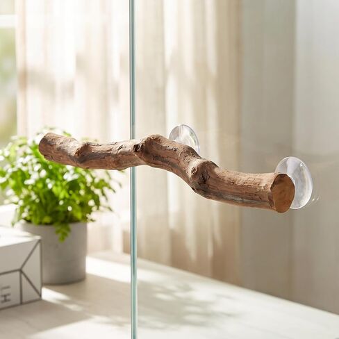 2pcs Reptile Wood Branch Perch Stand Suction Cups for Lizard Tanks in Kuwait