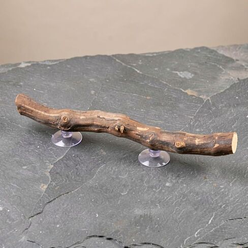 2pcs Reptile Wood Branch Perch Stand Suction Cups for Lizard Tanks in Kuwait
