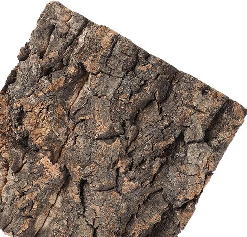 HOMSFOU 6pcs Cork Bark Terrarium Background for Reptile Tank in Kuwait