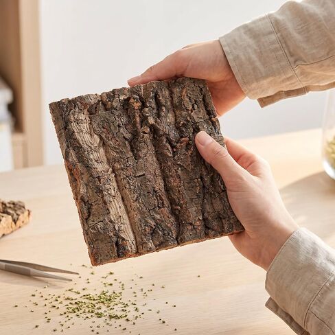 HOMSFOU 6pcs Cork Bark Terrarium Background for Reptile Tank in Kuwait
