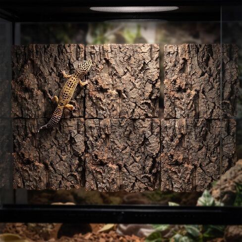 HOMSFOU 6pcs Cork Bark Terrarium Background for Reptile Tank in Kuwait