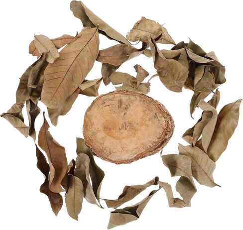 Wood Turtle Basking Platform Stump with Dried Leaves for Fish Tanks in Kuwait