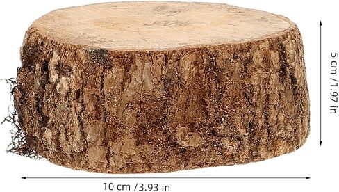 Wood Turtle Basking Platform Stump with Dried Leaves for Fish Tanks in Kuwait