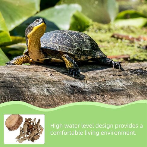 Wood Turtle Basking Platform Stump with Dried Leaves for Fish Tanks in Kuwait