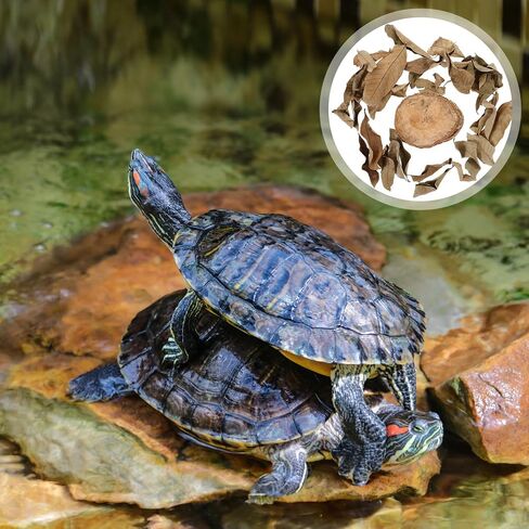 Wood Turtle Basking Platform Stump with Dried Leaves for Fish Tanks in Kuwait