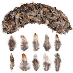 SendyFeather 200pcs 10 Style Natural Feathers Assorted Mixed Feathers for Dream Catcher Crafts DIY Decoration in Saudi Arabia