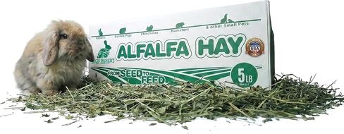 High Desert Alfalfa Hay for Young Rabbits and Guinea Pigs, 5 lb Box in Kuwait