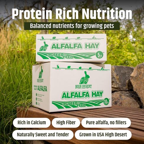High Desert Alfalfa Hay for Young Rabbits and Guinea Pigs, 5 lb Box in Kuwait
