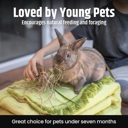 High Desert Alfalfa Hay for Young Rabbits and Guinea Pigs, 5 lb Box in Kuwait