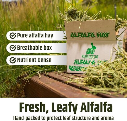 High Desert Alfalfa Hay for Young Rabbits and Guinea Pigs, 5 lb Box in Kuwait
