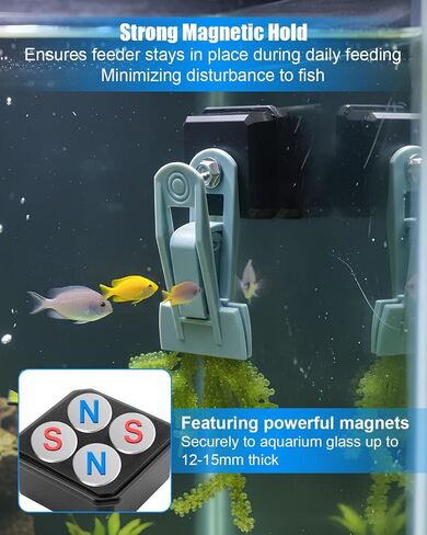 Magnetic Seaweed Feeder Clip for Goldfish and Aquatic Pets in Kuwait