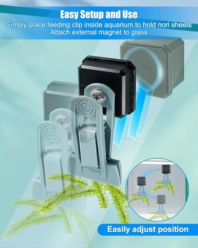 Magnetic Seaweed Feeder Clip for Goldfish and Aquatic Pets in Kuwait