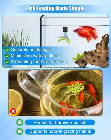 Magnetic Seaweed Feeder Clip for Goldfish and Aquatic Pets in Kuwait