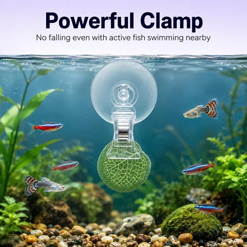 10Pcs Aquarium Plant Holder Aquarium Clips for Food Suction Cup Clips Fish Feeder Clear Plastic Food Feeding Clip for Fish Tanks Suction-Clips in Saudi Arabia