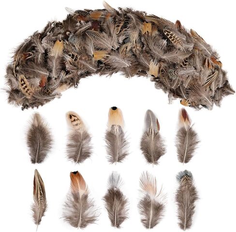 SendyFeather 200pcs 10 Style Natural Feathers Assorted Mixed Feathers for Dream Catcher Crafts DIY Decoration in Kuwait