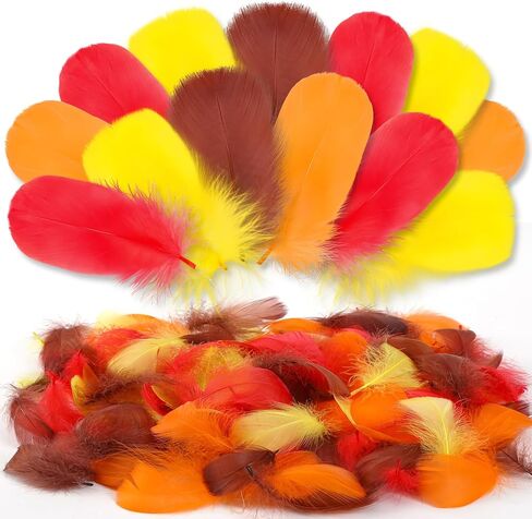 MARFOREVER 600 Pcs Thanksgiving Fall Feathers Craft Goose Turkey Feather in Kuwait
