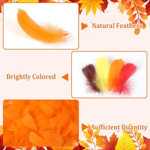 MARFOREVER 600 Pcs Thanksgiving Fall Feathers Craft Goose Turkey Feather in Kuwait