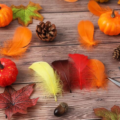 MARFOREVER 600 Pcs Thanksgiving Fall Feathers Craft Goose Turkey Feather in Kuwait