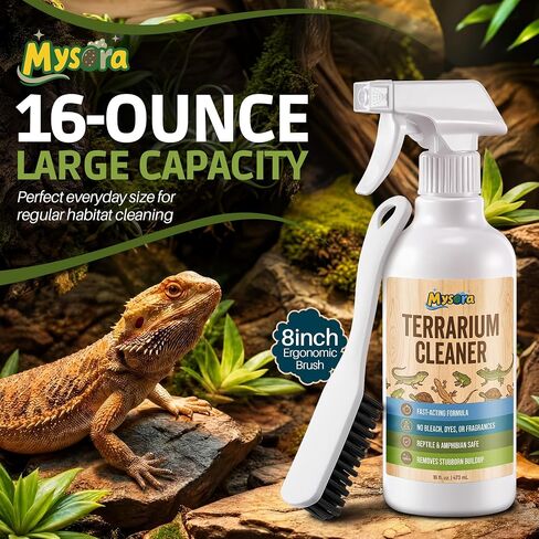 Bearded Dragon Tank Cleaner Kit with Brush, 16oz in Kuwait