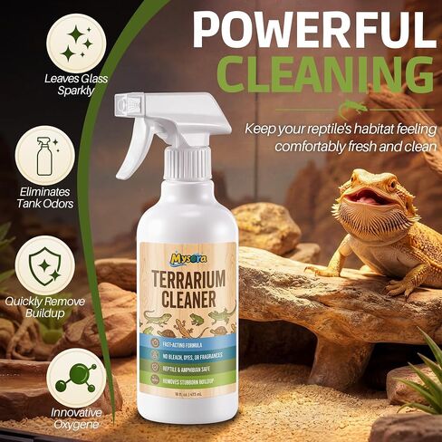Bearded Dragon Tank Cleaner Kit with Brush, 16oz in Kuwait