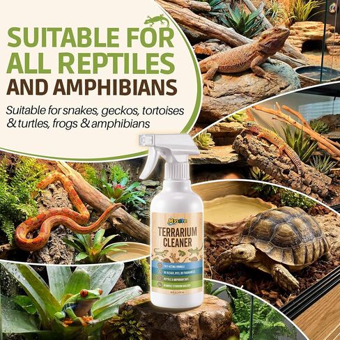 Bearded Dragon Tank Cleaner Kit with Brush, 16oz in Kuwait