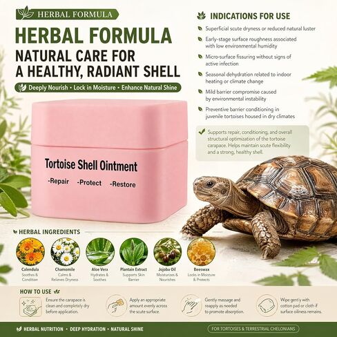 Tortoise Shell Conditioner Balm – Turtle Shell Moisturizer for Dry Shell Care & Treatment, Reptile Shell Balm 50 g in Saudi Arabia