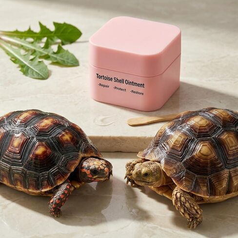 Tortoise Shell Conditioner Balm – Turtle Shell Moisturizer for Dry Shell Care & Treatment, Reptile Shell Balm 50 g in Saudi Arabia