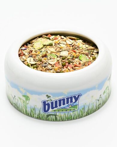 Bunny Nature HamsterDream Expert Food - All Natural Mix for Syrian & Dwarf Hamsters with Mealworms - Supports Foraging & Digestion - No Pellets, 1.1 lbs in Kuwait