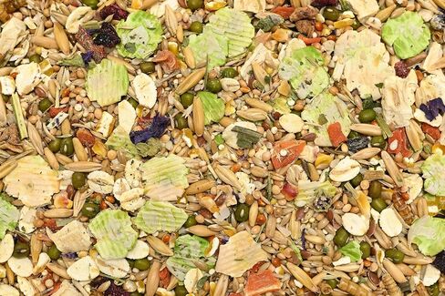 Bunny Nature HamsterDream Expert Food - All Natural Mix for Syrian & Dwarf Hamsters with Mealworms - Supports Foraging & Digestion - No Pellets, 1.1 lbs in Kuwait