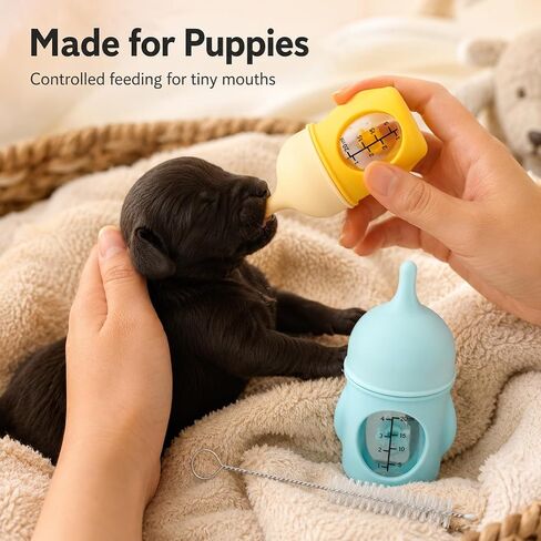 Kitten Bottles for Nursing, 2Pack Feeding Bottle for Puppy Milk, with Brush in Kuwait