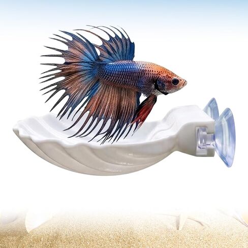 Betta Fish Hammock Shell, Shell Bed with Strong Suction Cup (White) in Kuwait