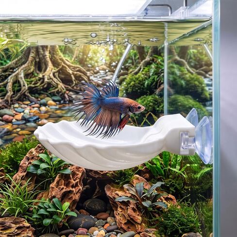 Betta Fish Hammock Shell, Shell Bed with Strong Suction Cup (White) in Kuwait
