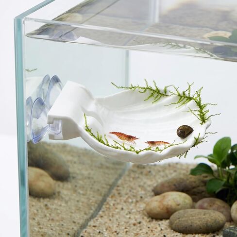 Betta Fish Hammock Shell, Shell Bed with Strong Suction Cup (White) in Kuwait