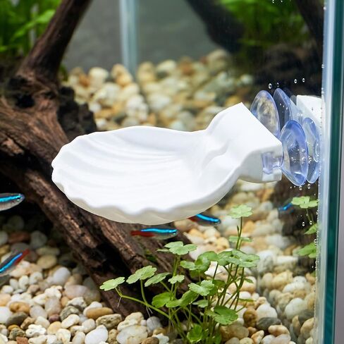 Betta Fish Hammock Shell, Shell Bed with Strong Suction Cup (White) in Kuwait