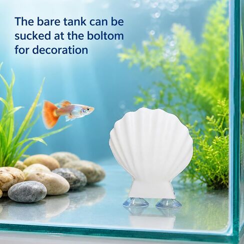 Betta Fish Hammock Shell, Shell Bed with Strong Suction Cup (White) in Kuwait