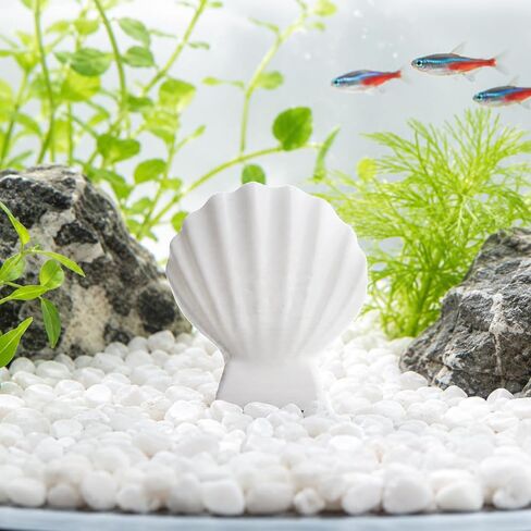 Betta Fish Hammock Shell, Shell Bed with Strong Suction Cup (White) in Kuwait