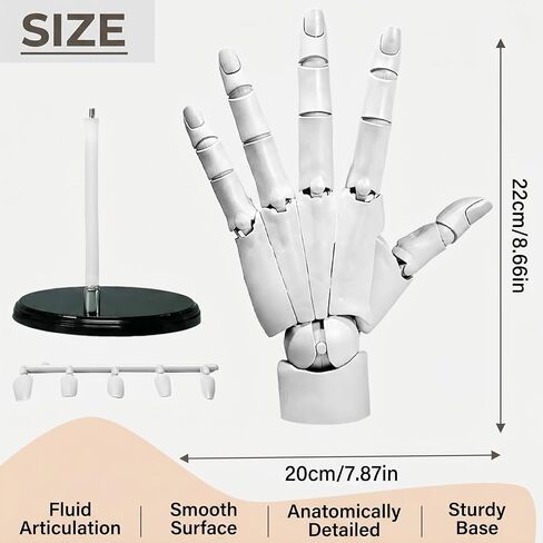 TsicTolg Articulated Hand Model, 1:1 Posable Left Hand with Stand in Kuwait