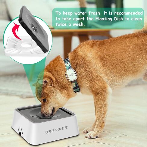 URPOWER 2.5L Dog Water Bowl 85oz Large Capacity Dog Bowls in Kuwait