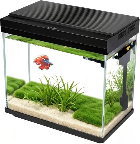 3 Gallon Fish Tank with Filter and Light in Kuwait