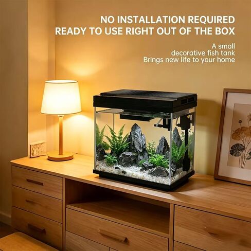 3 Gallon Fish Tank with Filter and Light in Kuwait