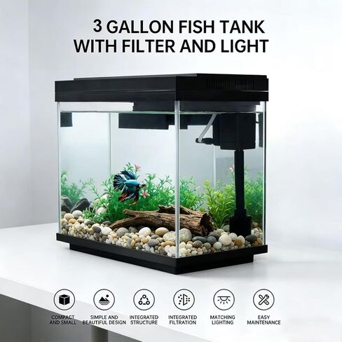 3 Gallon Fish Tank with Filter and Light in Kuwait