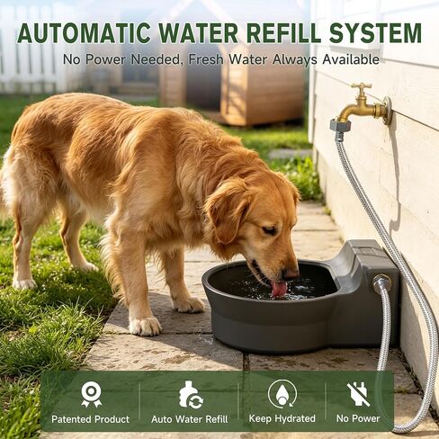 Automatic Dog Water Dispenser, Auto Fill Dog Water Bowl Dispenser in Kuwait