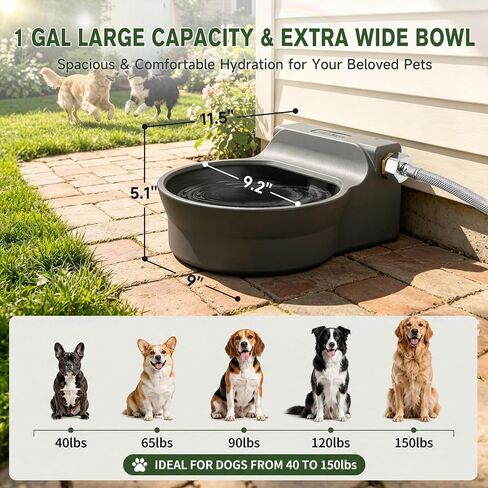 Automatic Dog Water Dispenser, Auto Fill Dog Water Bowl Dispenser in Kuwait