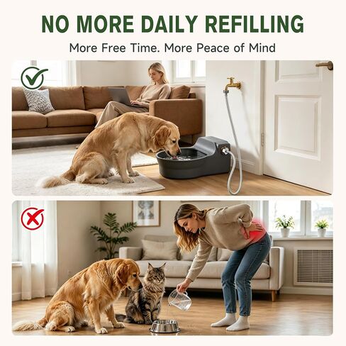 Automatic Dog Water Dispenser, Auto Fill Dog Water Bowl Dispenser in Kuwait