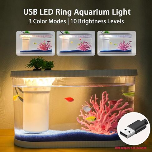 2.2Gal Aquarium Starter Kits, Small Beta Fish Tank Kit with Quiet Filter & Color Light, Nano Desktop Tank for Betta Shrimp Guppy Goldfish, Complete Starter Kit (12.6 * 7 * 5.6 Inch) in Saudi Arabia