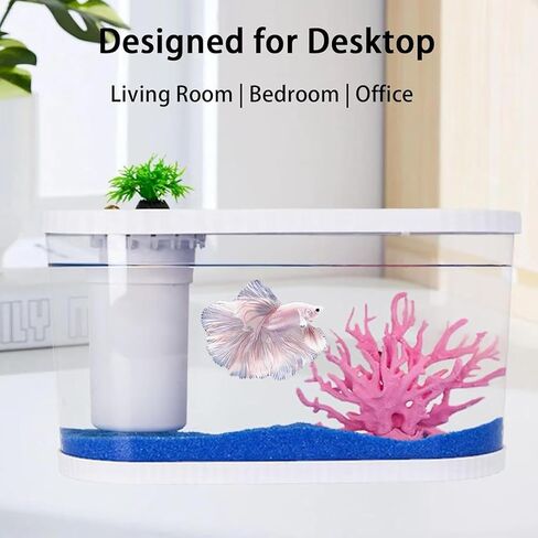 2.2Gal Aquarium Starter Kits, Small Beta Fish Tank Kit with Quiet Filter & Color Light, Nano Desktop Tank for Betta Shrimp Guppy Goldfish, Complete Starter Kit (12.6 * 7 * 5.6 Inch) in Saudi Arabia