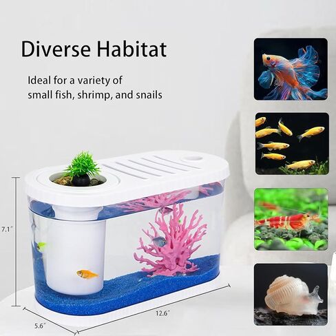 2.2Gal Aquarium Starter Kits, Small Beta Fish Tank Kit with Quiet Filter & Color Light, Nano Desktop Tank for Betta Shrimp Guppy Goldfish, Complete Starter Kit (12.6 * 7 * 5.6 Inch) in Saudi Arabia