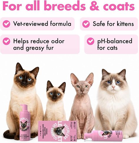 Waterless Cat Shampoo – No Rinse Dry Shampoo for Cats & Kittens, Hypoallergenic Cat Cleaning Foam, Lick-Safe Formula for Indoor Cats, Helps Neutralize Odors & Refresh Coat Between Baths, 6.7 oz in Saudi Arabia